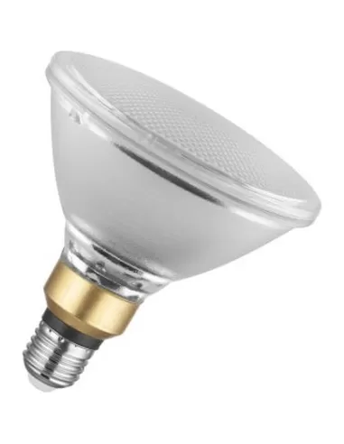 Conc PAR38SP 120W 240V L E27